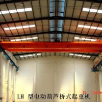沈陽起重機(jī)-LH型電動葫蘆橋式起重機(jī)